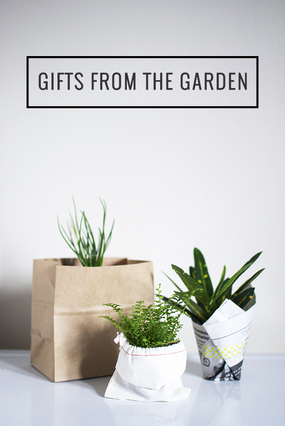 The Neighborhood: Gifts from the Garden