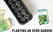 The Neighborhood: Planting an Herb Garden
