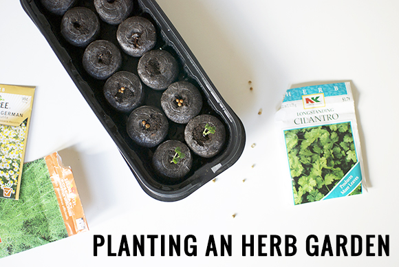 The Neighborhood: Planting an Herb Garden