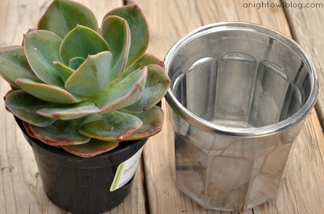 DIY Mercury Glass Succulent Planters