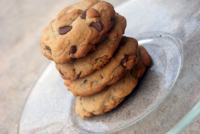 Salty Butterscotchy Chocolaty Yummy Cookies