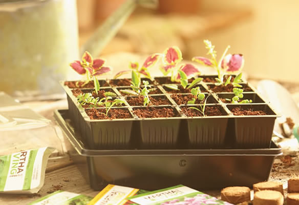 Spring DIY Projects with The Home Depot Garden Club #DigIn ...