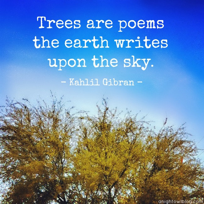 Trees are poems that the earth writes upon the sky. #DigIn