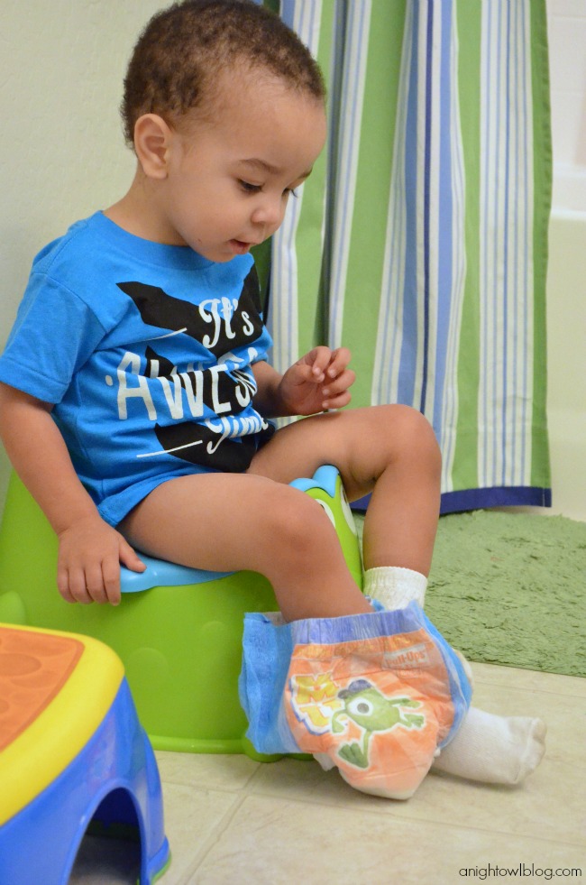 Operation Potty Training: An Update #PullUpsPottyBreaks | A Night Owl Blog