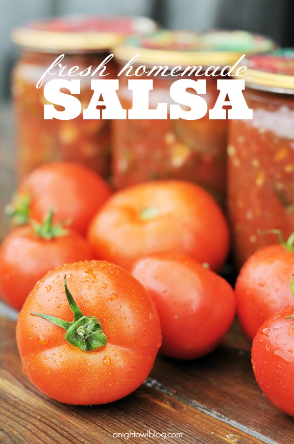 Fresh Homemade Salsa Recipe at anightowlblog.com | #fresh #homemade #salsa #recipes #appetizer