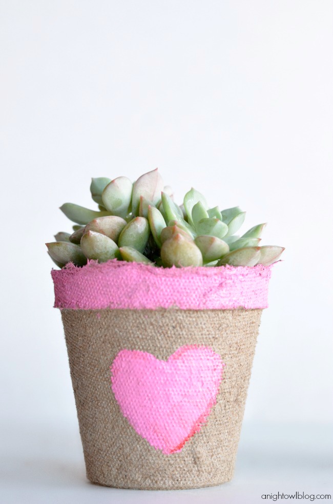 Little succulent plants, what a sweet and easy Valentine's Day gift!