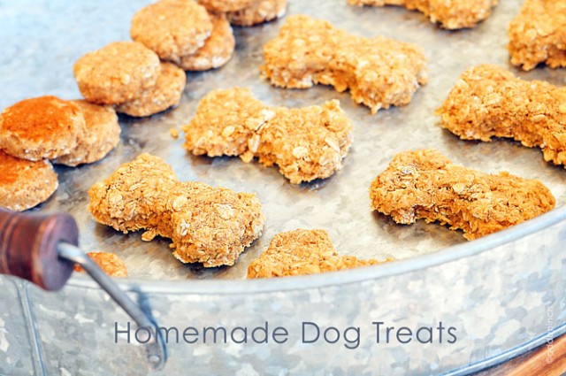 Homemade Dog Treats Recipe by Add a Pinch