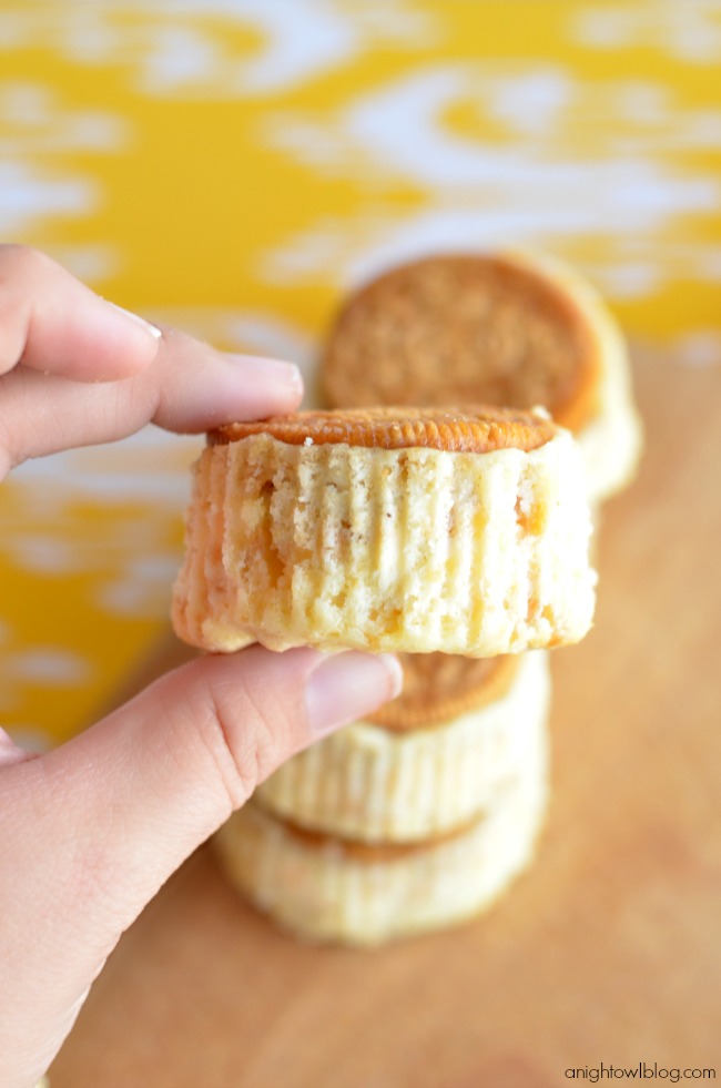 Mini Lemon Oreo Cheesecake - make tasty mini cheesecakes in just a few easy steps!
