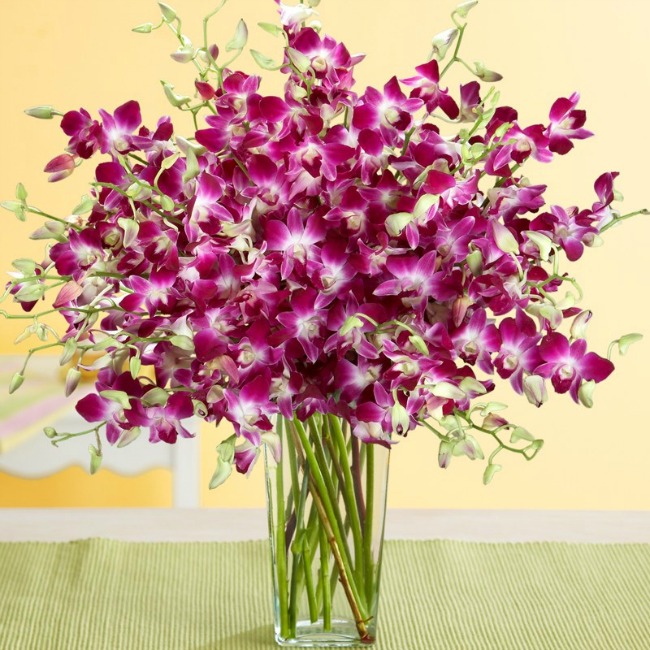 Purple Dendrobium Orchids - perfect gift for Mother's Day from ...