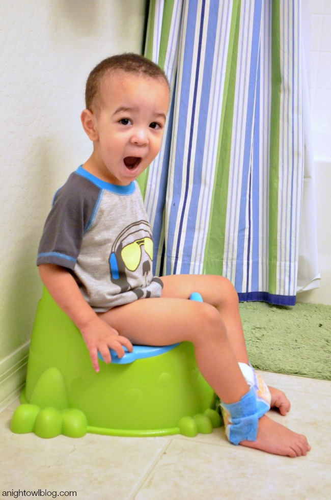 Potty Training - Lessons Learned! | A Night Owl Blog