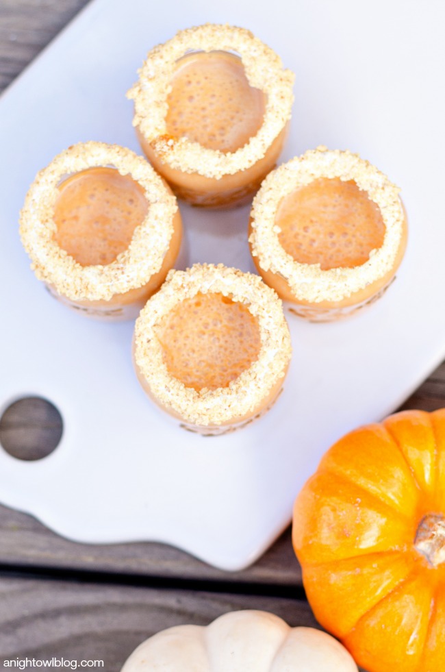 Add a little fun to your Fall! These Pumpkin Pie Shooters are delicious and can be made with or without alcohol!