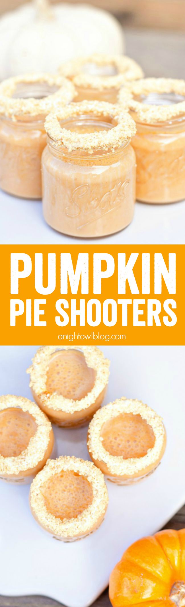 Add a little fun to your Fall! These Pumpkin Pie Shooters are delicious and can be made with or without alcohol!