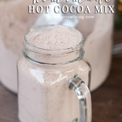 Homemade Hot Cocoa Mix - A Night Owl Blog