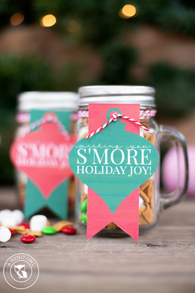 S'mores Mason Jar Gift | anightowlblog.com