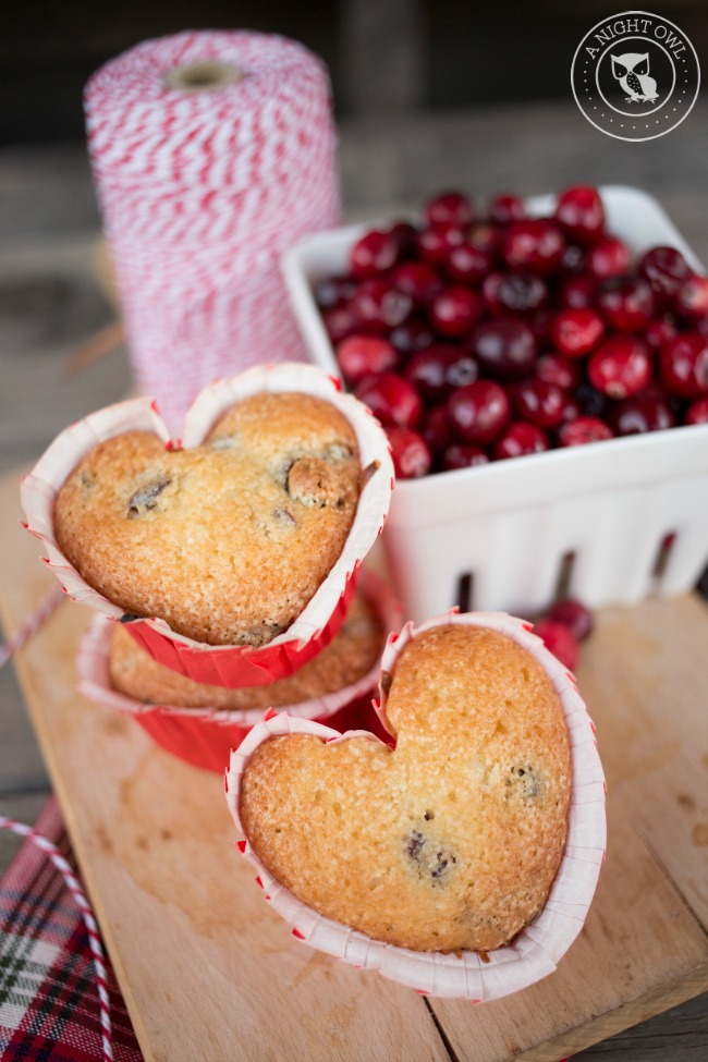 Easy Cranberry Muffins | anightowlblog.com