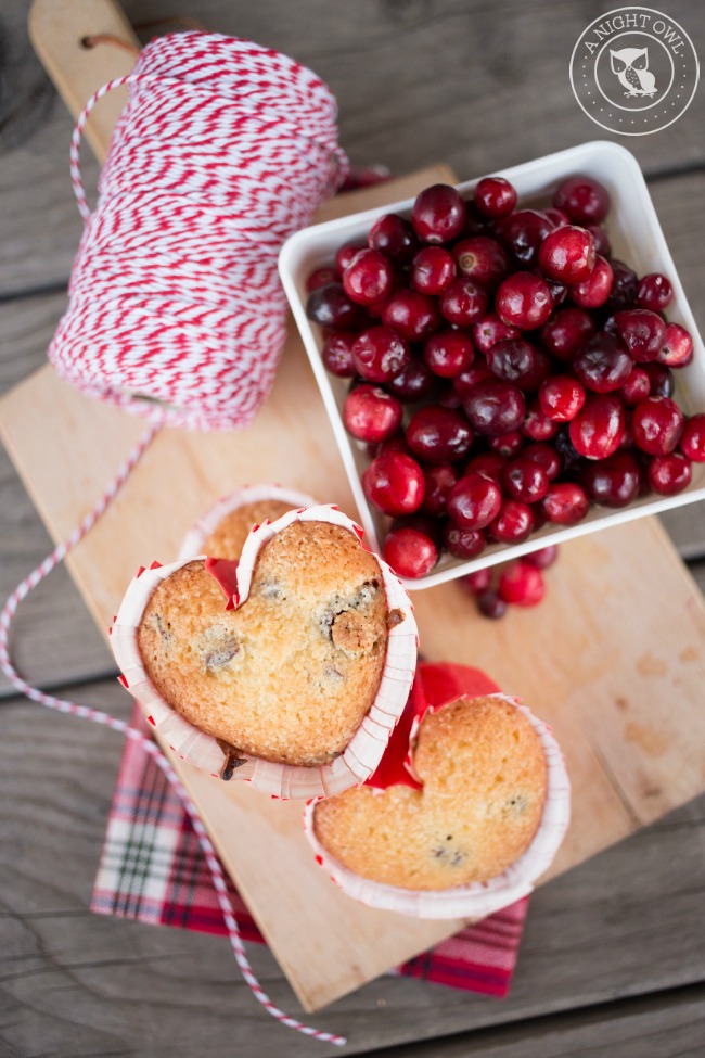 Easy Cranberry Muffins | anightowlblog.com