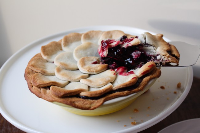 Blue Ribbon Blueberry Pie - an award-winning fresh blueberry pie with hints of citrus and ginger - the perfect summer BBQ treat!
