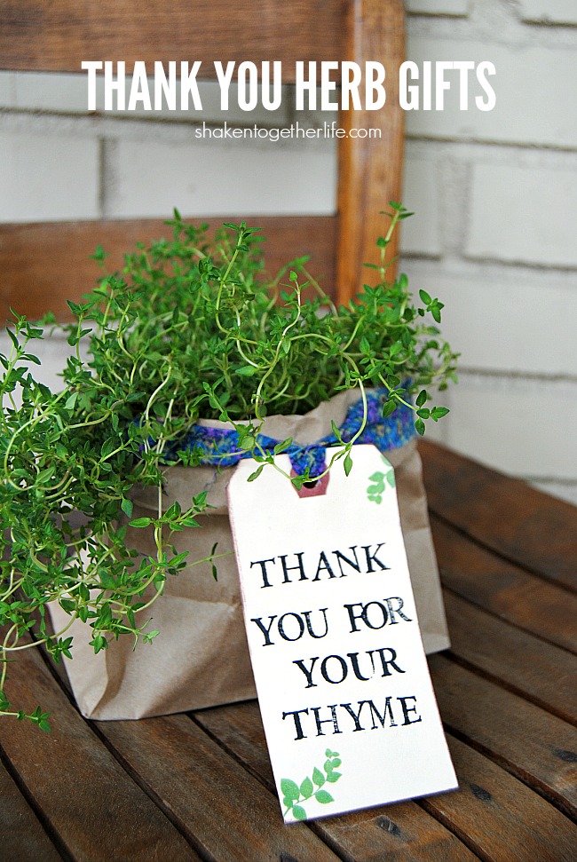 Thank You Herb Gifts - A Night Owl Blog
