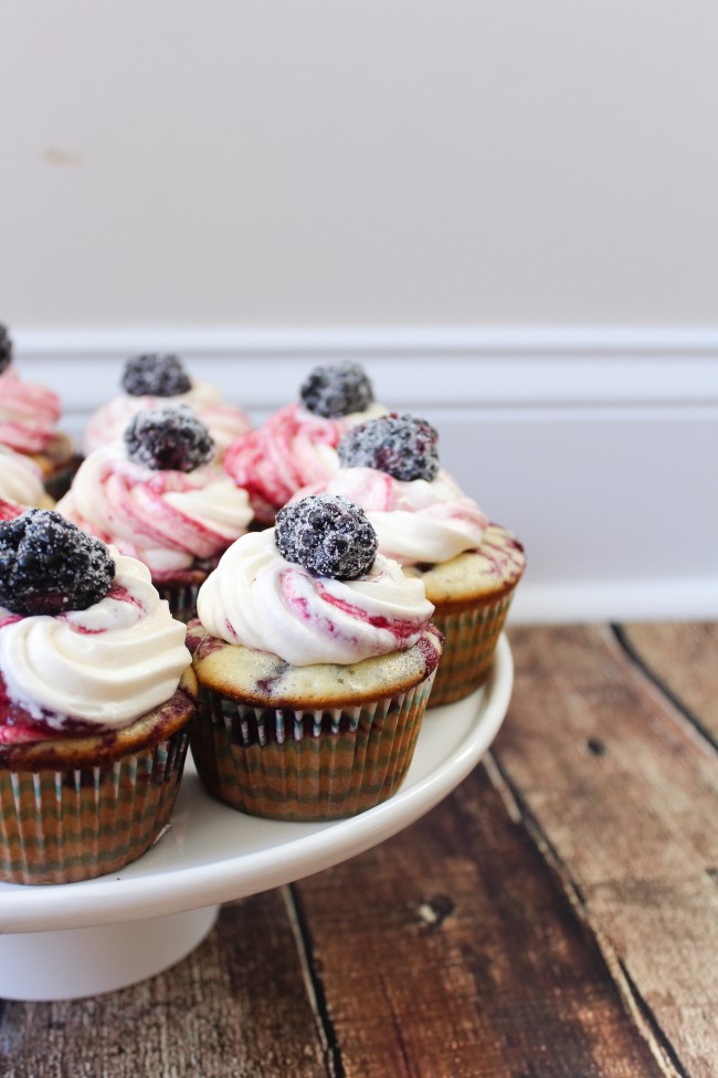 Blackberry Vanilla Swirl Cupcakes - vanilla cupcakes swirled with blackberry and porter compote, topped with decadent blackberry swirl frosting!