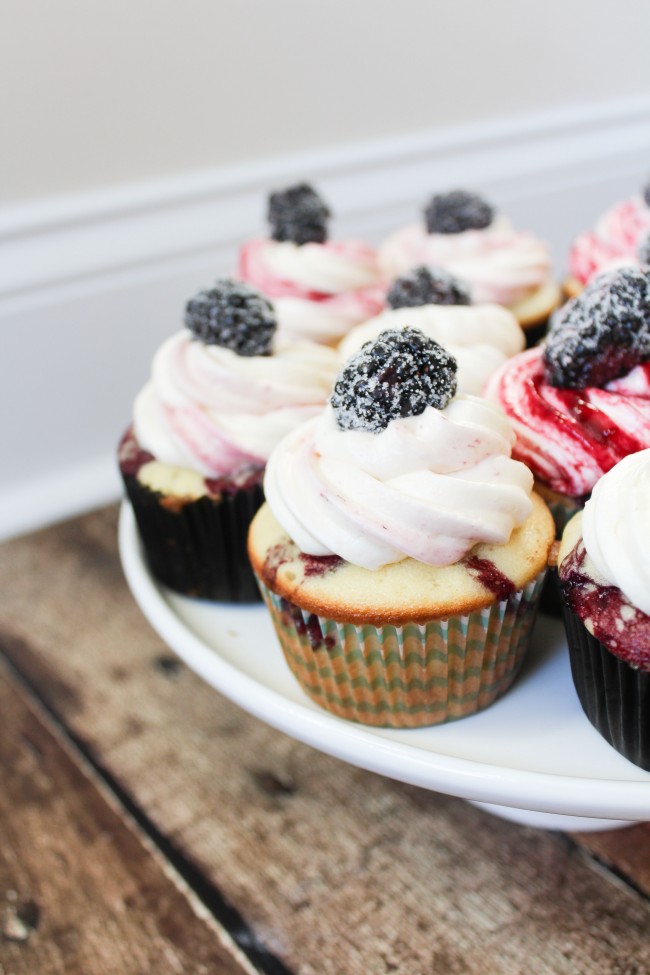 Blackberry Vanilla Swirl Cupcakes - vanilla cupcakes swirled with blackberry and porter compote, topped with decadent blackberry swirl frosting!