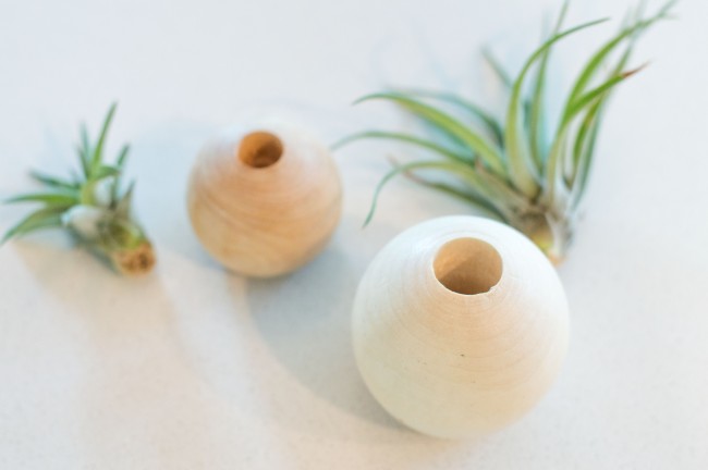 DIY Air Plant Holders - easy and fun holders you can make at home with just a few supplies and endless imagination!