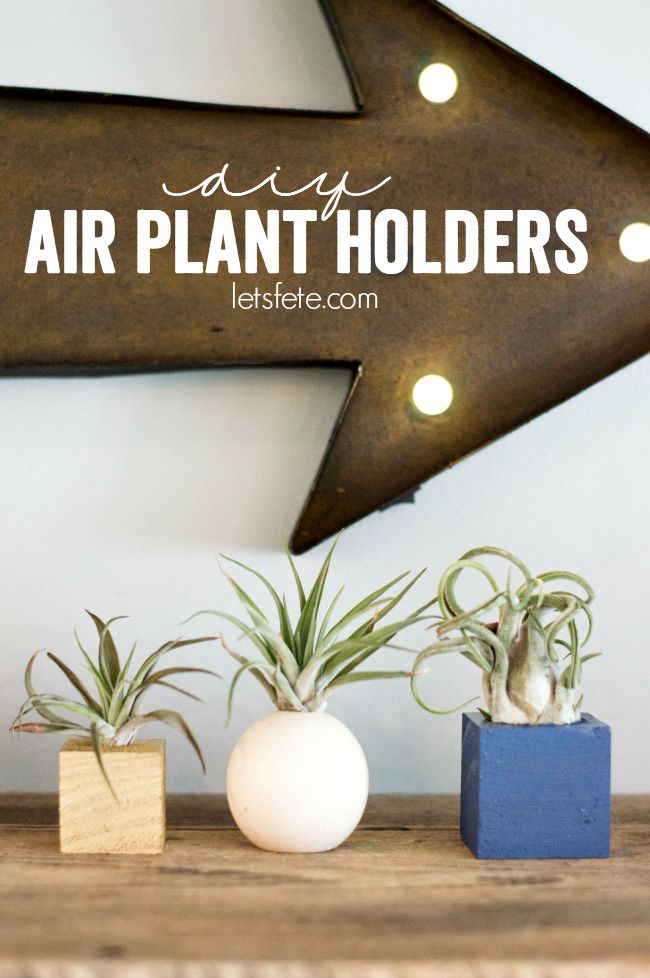 DIY Air Plant Holders - easy and fun holders you can make at home with just a few supplies and endless imagination!