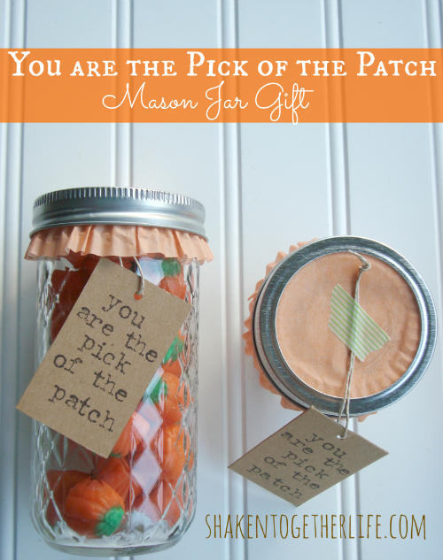 Pick of the Patch Mason Jar Gift at Shaken Together