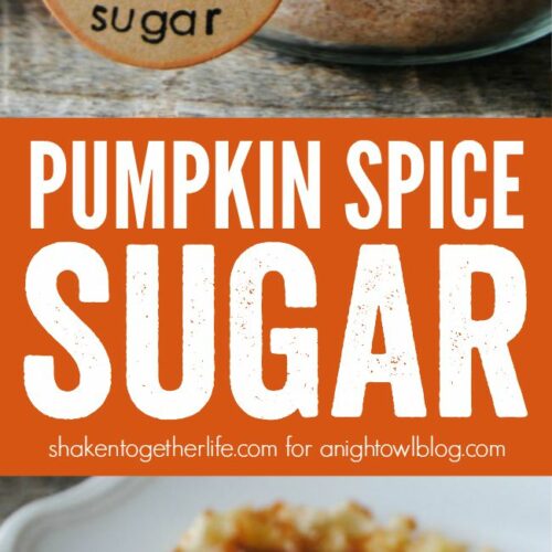 Pumpkin Spice Hazelnut Coffee Cubes - Sugar and Charm