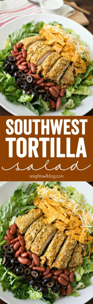 Southwest Tortilla Salad - A Night Owl Blog