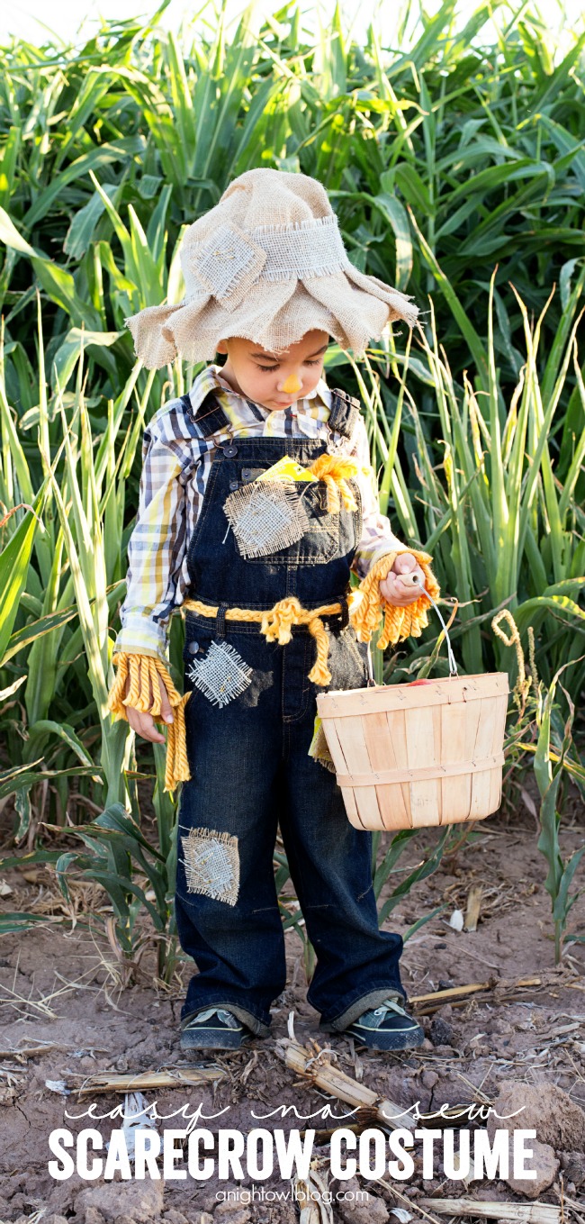 Easy No Sew Scarecrow Costume - A Night Owl Blog
