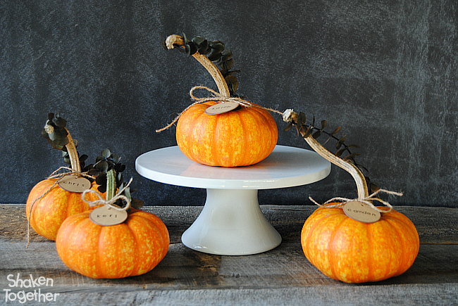 Eucalyptus Pumpkin Place Cards - an easy but elegant addition to your Thanksgiving table! They make a thoughtful favor for guests to take home, too!