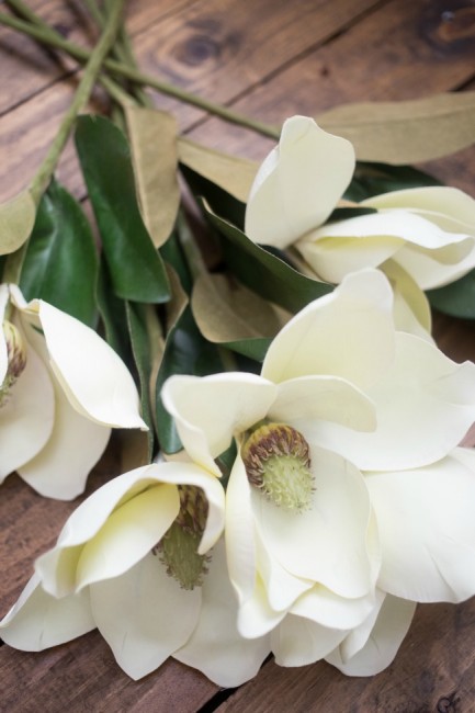 DIY Magnolia Wreath - A Night Owl Blog