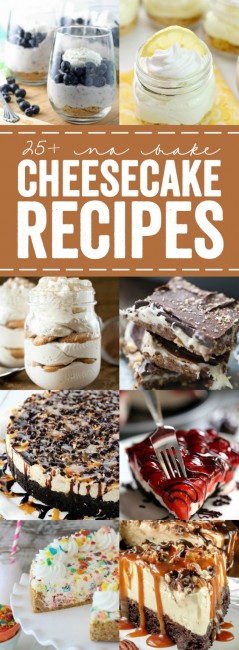 25+ No Bake Cheesecake Recipes - A Night Owl Blog