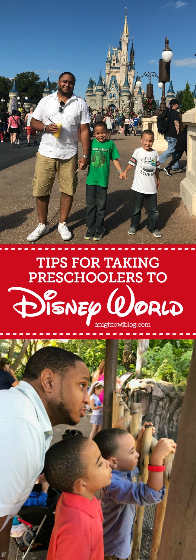 Disney World with Preschoolers HERO | A Night Owl Blog