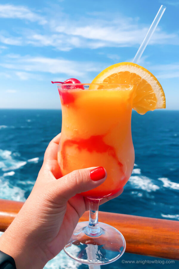 Carnival Cruise Drink Prices 2024 - Hetti Lanette