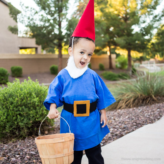 baby gnome costumes