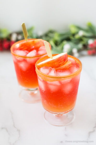 Sparkling Cran-Apple Mocktail - A Night Owl Blog